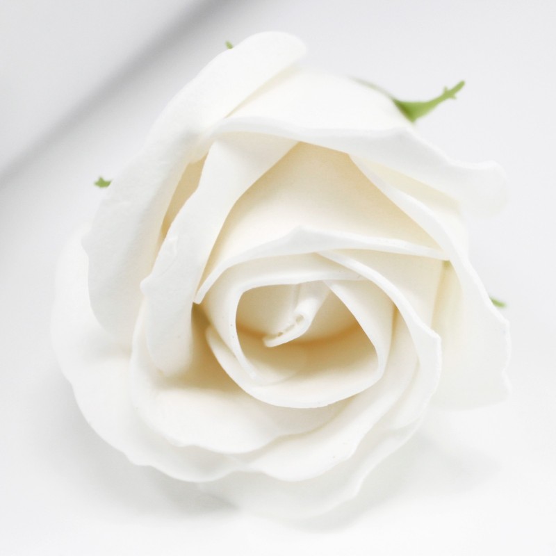 Blanc - roses de savons