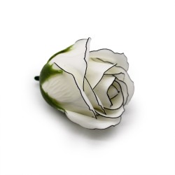 Rose blanc cassé bord noir - roses de...